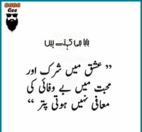 Ishq may shirq aur Muhabbat may bewafai ki maafi